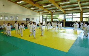 55950d8eb89b7_coursgroupsJudo20150635Copier.jpg