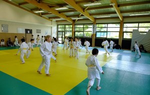 55950d8f9b45d_coursgroupsJudo20150638Copier.jpg