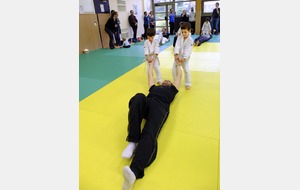 5675d780de981_coursbabyJudo20151122.jpg